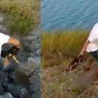 El menor lanza el cachorro al agua infestada de cocodrilos.