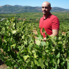 Enrique Prada, en una de sus viñas preferidas en el alto de Villadecanes, con el mejor Bierzo vitícola como fondo de escenario. B. FERNÁNDEZ