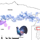 Mapa en el que se comprueba cómo se ha reducido el hábitat del urogallo cantábrico. IREC