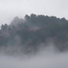 Niebla en la provincia de León. JESÚS