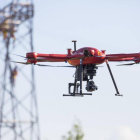 Los drones van a vigilar las plantaciones de manzanilla en el Bierzo.