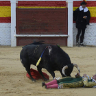 Uno de los caballos resultó herido en una pata. ACACIO