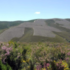 Los montes son fuente de riqueza. En la foto, vista desde un monte de la provincia de León. J. CASARES