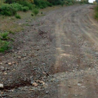 Estado de la carretera de acceso al Campo de las Danzas.