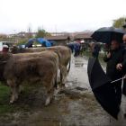 La lluvia no fue impedimento para que la gente se acercarse a ver la reses en el ferial