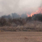 León ha registrado multitud de incendios de escasa magnitud pero complicados de extinguir.