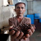Un hombre que muestra granos de cacao para chocolates en Baracoa. ERNESTO MASTRASCUSA