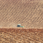 Los agricultores confían en que por fin llueva.