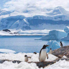 A los problemas del deshielo en la Antártida se suma la contaminación por microplásticos. DL