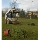 Las máquinas del Ayuntamiento hicieron posible la replantación de pinos