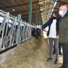 El consejero de Agricultura, Jesús Julio Carnero, en su visita a una granja de leche de Valladolid. DL
