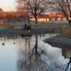 El parque de la Era cuenta con nidos para facilitar el anidamiento de aves