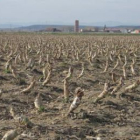 Una explotación agrícola y, al fondo, Villarnera, en una imagen de archivo.
