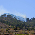 El frente sur del incendio forestal que desde el miércoles afecta a La Palma. MIGUEL CALERO