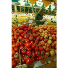 Los precios de los tomates se han recortado en noviembre en un 16,8%