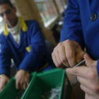 Cada vez más discapacitados en León cuentan con empleo.