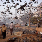 Dos hombres dan de comer a los pájaros en una fría mañana en Nueva Deli (India).