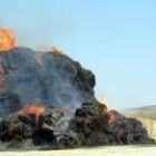 Las llamas se propagaron con suma facilidad dabido a la sequedad del combustible