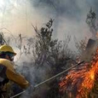 Un componente de una brigada contra incendios intenta por todos los medios sofocar las llamas