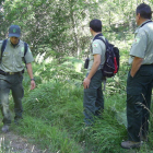 Tres guardas buscan indicios de la presencia de lobos.