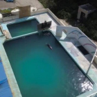 El centro ‘Inubosaki Marine Park Aquarium’ de la ciudad de Choshi, en Japón, lleva siete meses cerrado al público y abandonado, quedando especies marinas en su interior: El delfín Honey, 46 pingüinos y cientos de reptiles y peces.