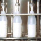 Proceso de envasado de leche en una factoría del norte de España