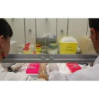 Dos científicos del Instituto de Biomedicina investigan algunas muestras.