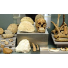 Algunos de los objetos que el Museo de León ha rescatado para la exposición temporal ‘Cosas veredes, objetos de museo’.