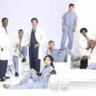 Los protagonistas de «Anatomía de Grey», serie que emite Cuatro