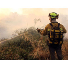 Forestales apagando un fuego en una foto de acrhivo.