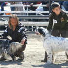 Las instalaciones para el adiestramiento y exposición canina se ubicarán en zona despoblada.