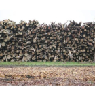 Residuos forestales de las limpiezas de los bosques empleados para la generación de biomasa.