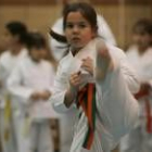 Los karatecas más pequeños disputarán el próximo sábado una nueva edición del trofeo Caja España