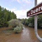 El río Duero en un tramo fluvial próximo a Garray