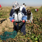 El número de trabajadores extranjeros se ha incrementado en el último año en León.
