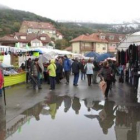 El recinto ferial de Riaño acogió buenos ejemplares de ganado equino.