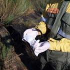 Un agente medioambiental recoge pruebas de un incendio después de su extinción. DL