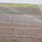 Los nuevos regadíos se sitúan por ahora en León en los cultivos de la Margen Izquierda del Porma