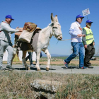 El alcalde de Torrubia, Raimundo Martínez, viaja a Calatayud con su burra para coger el AVE. CONCHA ORTEGA