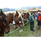 Las reses de equino fueron las más numerosas en el recinto ferial.