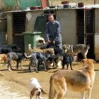El responsable del albergue de Sahagún, este fin de semana con los perros que atiende a diario