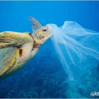 Imagen de la campaña de Greenpeace contra el vertido de plásticos en el mar.