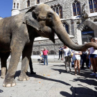 El elefante del circo Kaos esta mañana, en Botines