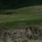 Pastos en el puerto de Abelgas, en León. marciano pérez