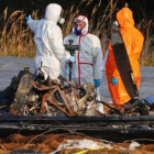 Equipo de forenses junto a la avioneta siniestrada en Erzhausen.