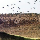 Aves sobrevolando el castillo de Santa Elena de Jamuz, un sisón y el Jamuz. A la derecha, el embalse