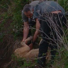 Momento en el que los agentes sacaron a la perra. DL