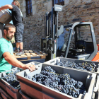 Entrada de uva en una bodega del Bierzo en la campaña de vendimia recientemente finalizada. L. D. M.