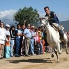 Los caballos acaparan el atención de los asistentes a la romería