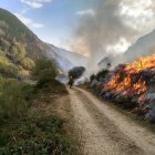 El fuego arrasó el pasado octubre más de 500 hectáreas de Sosas y San Miguel. DL